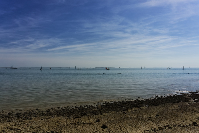 帆船，小船，罗谢尔，大西洋，夏伦特海事，侧面，风景，大西洋海岸