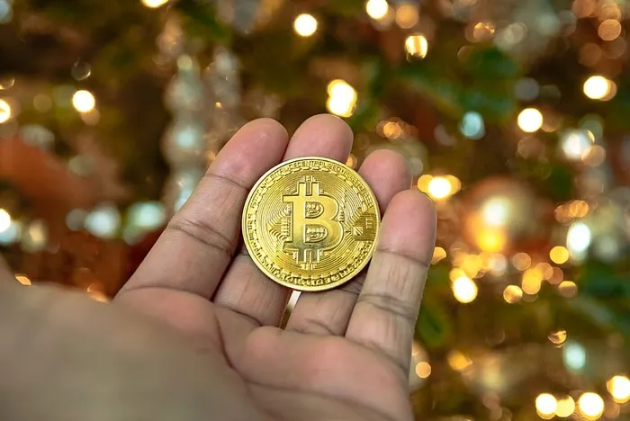 手头的金币
