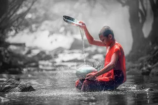 选择性，彩色摄影，和尚，橙色，长袍，色斑，和尚，森林