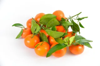 柑橘、水果、品尝、电力、食品、食品、风味、红色