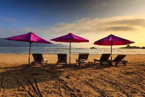 黎明时的海岸照片