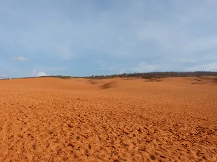 沙漠,越南,沙子,自然,干燥,景观,土地,天空 沙漠,越南,沙子,自然,干燥,景观,土地,天空