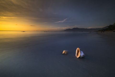 海岸上有两个贝壳