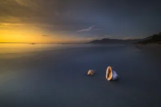 海岸上有两个贝壳