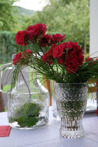 饮料，水，克鲁格，冷的，点心，冷冻的，薄荷，玻璃杯