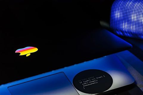 印度，哥印拜陀，格言，生活，座右铭，苹果，rgb，颜色