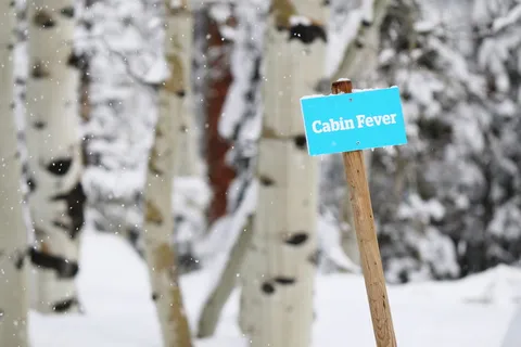 雪、冬天、标牌、行李箱、探险、景观、博克、木材 雪、冬天、标牌、行李箱、探险、景观、博克、木材