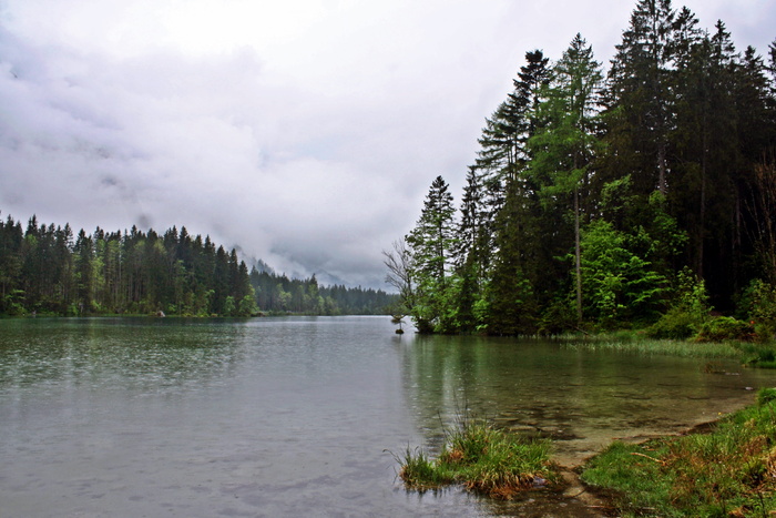 湖，雾，沼地，上巴伐利亚州，闹鬼，神秘，ruhpolding，树