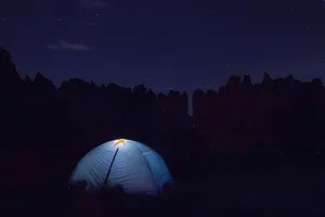 黑暗，夜晚，树木，植物，森林，天空，星星，帐篷