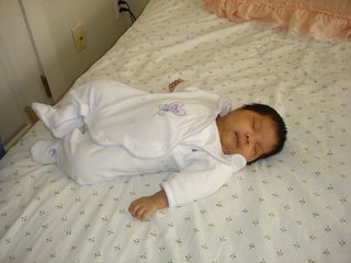 宝贝，贝贝，睡觉，佩奎诺，蒂尼，德米恩多，爱，爱