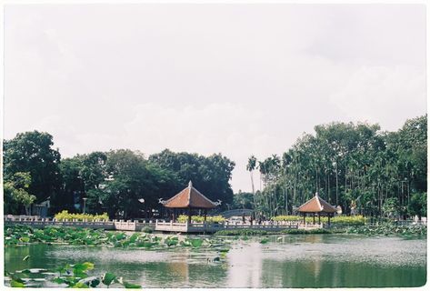 绿树地块、户外、自然、水、建筑、农村、乡村、庇护所