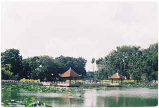 绿树地块、户外、自然、水、建筑、农村、乡村、庇护所