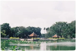 绿树地块、户外、自然、水、建筑、农村、乡村、庇护所