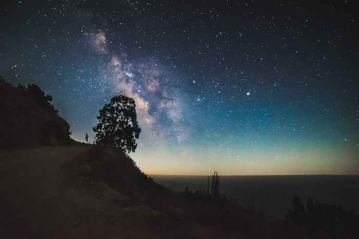 星夜下悬崖附近的树