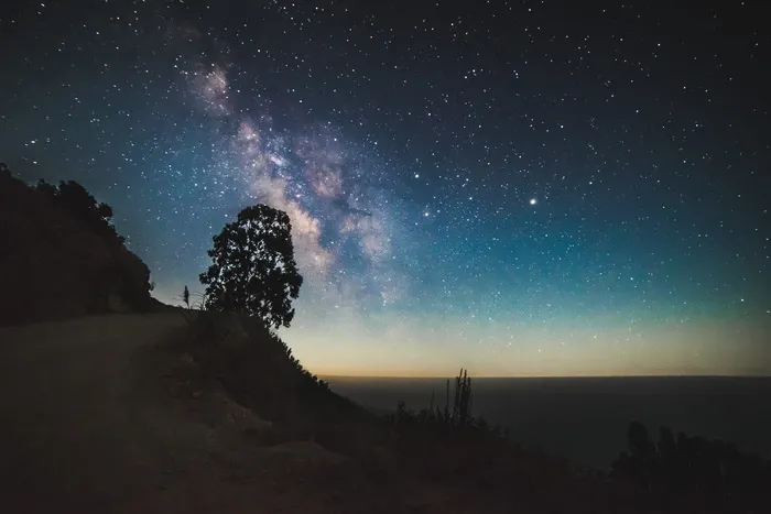 星夜下悬崖附近的树