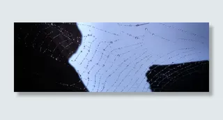 户外、自然、抽象、天气、全景、图案、跌落、冬季