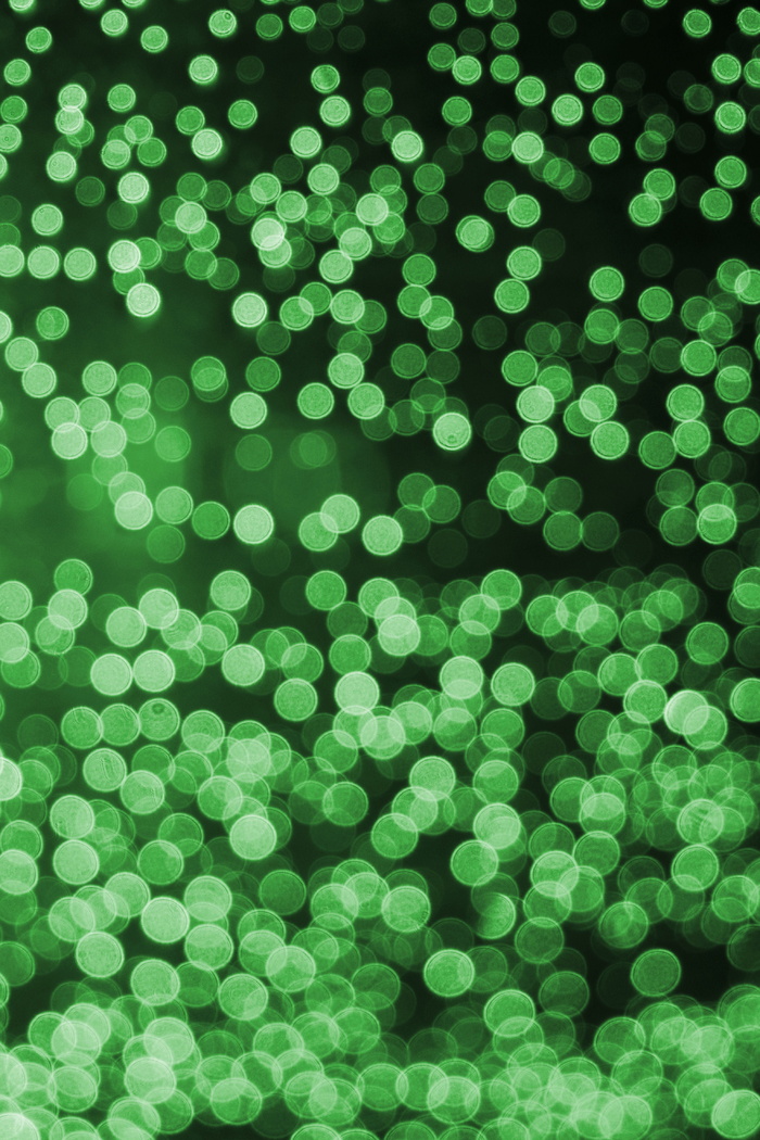 绿色，波基，波基效果，绿色，圣诞节，圣诞灯，效果，照片效果