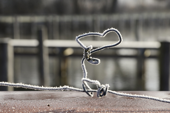 白霜，寒冷，霜冻，冬天，抽象，图案，创意，心