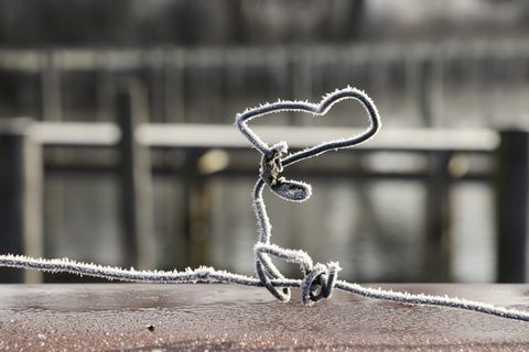 白霜，寒冷，霜冻，冬天，抽象，图案，创意，心