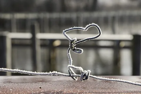 白霜，寒冷，霜冻，冬天，抽象，图案，创意，心