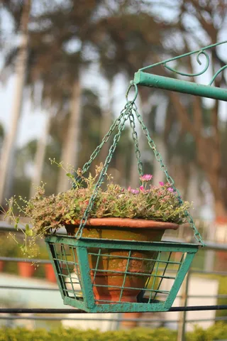 照片，图片，皮克斯湾，莫瑞安·潘图尔，佳能，相机，摄影师，镜头