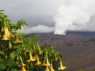 Vulcano Bromo 2017