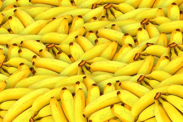 香蕉