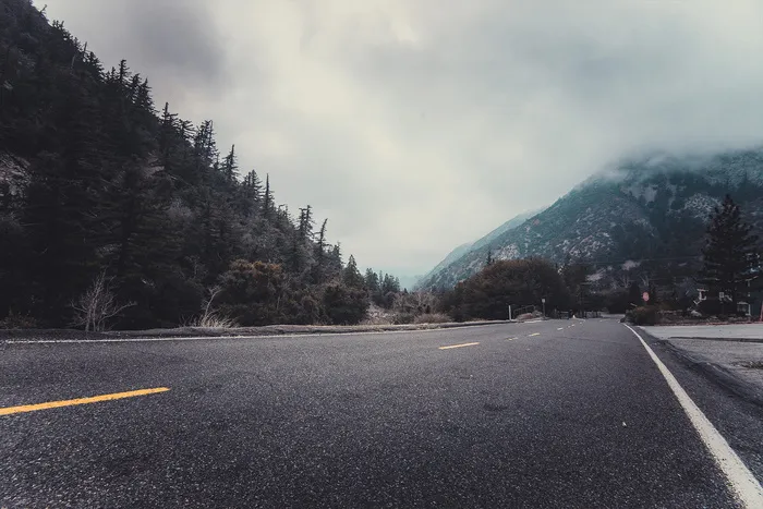道路，天空，云，多云，沥青，针叶树，冷杉树，雾