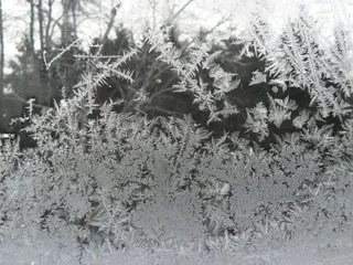 霜冻、冬季、寒冷、冰、结冰、凝胶、低温、雪