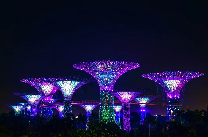 紫色、led、塔楼、夜间、城市、公园、新加坡、夜间