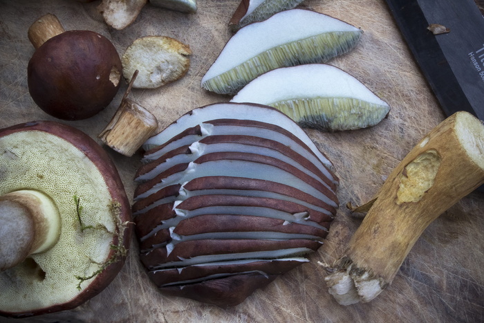 蘑菇，栗子röhling，秋天，蘑菇，自然，蘑菇收藏家，食用，reishi