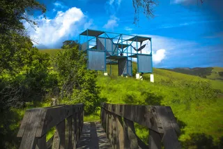 建筑、结构、自然、野生动物、户外、春天、草地、绿色