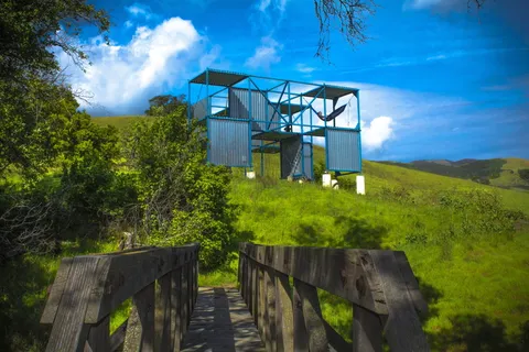 建筑、结构、自然、野生动物、户外、春天、草地、绿色 建筑、结构、自然、野生动物、户外、春天、草地、绿色