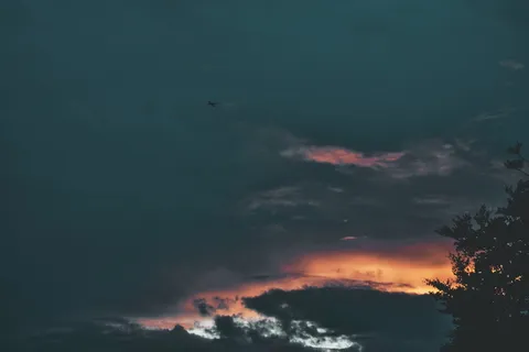 黑色天空下的树影