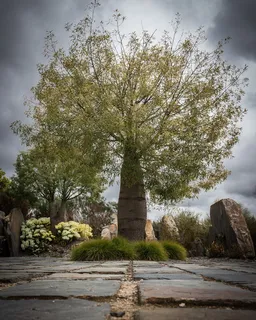 宏伟、透视、绿色、巨蟒、树木、植物、自然、天空