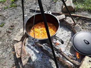 拉脱维亚, Lielplatone, 野餐, 晚餐, 团队, 夏季, 厨房用具, 准备