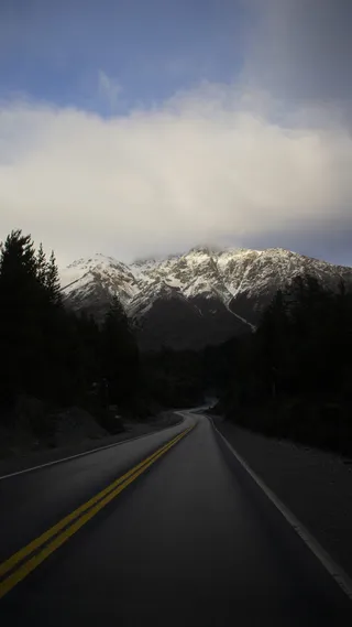 绿叶树之间的黑色水泥路