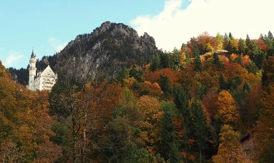 森林、城堡、秋天、山脉、自然、景观、树木、颜色 森林、城堡、秋天、山脉、自然、景观、树木、颜色