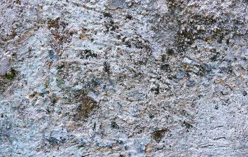 岩石、地面、树木、植物、自然、道路、冰、户外 岩石、地面、树木、植物、自然、道路、冰、户外