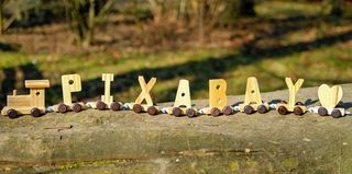 皮克斯湾，木制，火车装饰，木制火车，玩具，火车，头等舱，货车