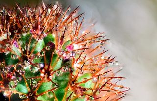 抽象，艺术，雨后，艺术，背景，美，美，自然美