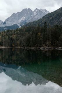 绿色，松树，高山，湖岸，白天，湖泊，四周，树木