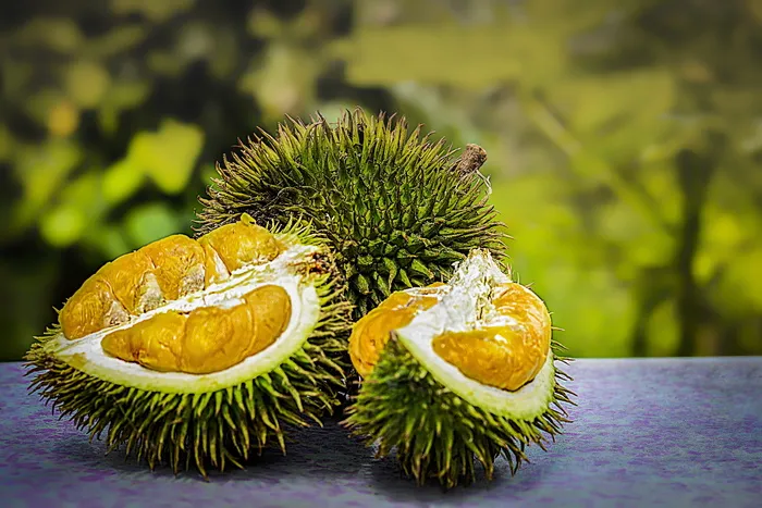 榴莲，水果，热带，马来西亚，气味，刺，农业，刺果