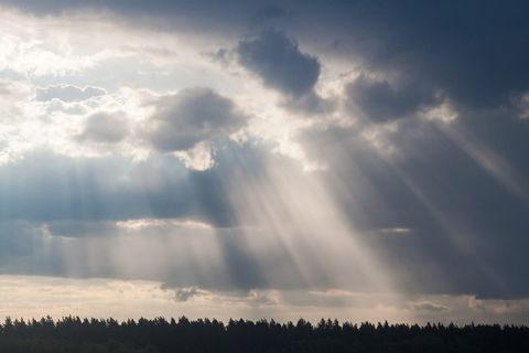 天空, 云 - 天空, 自然之美, 宁静, 阳光, 宁静的场景, 风景 - 自然, 树