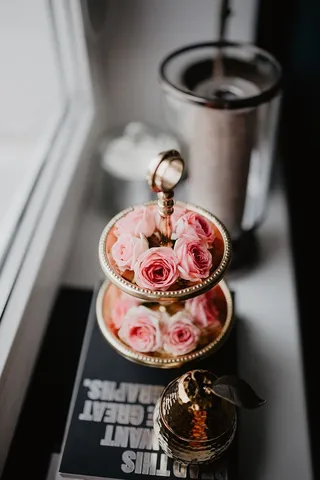 一盘粉红色的玫瑰