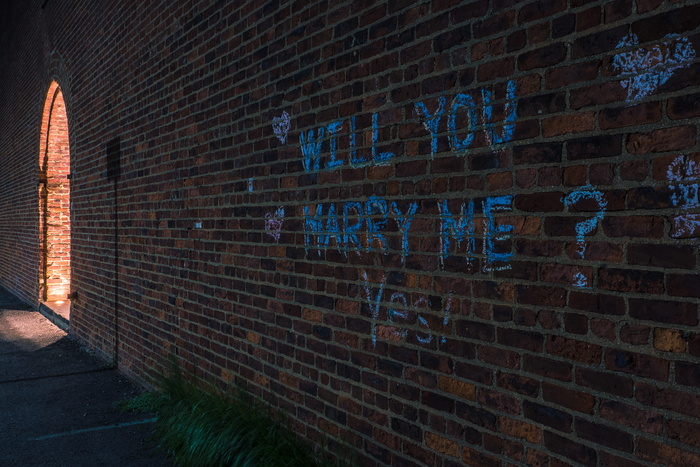 索尼, a7r2, 婚姻, 纽约市, 提案, 砖墙, 砖, 墙