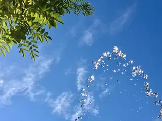 天空，蓝色，夏天，喷泉，水，树，蓝色的天空，好天气