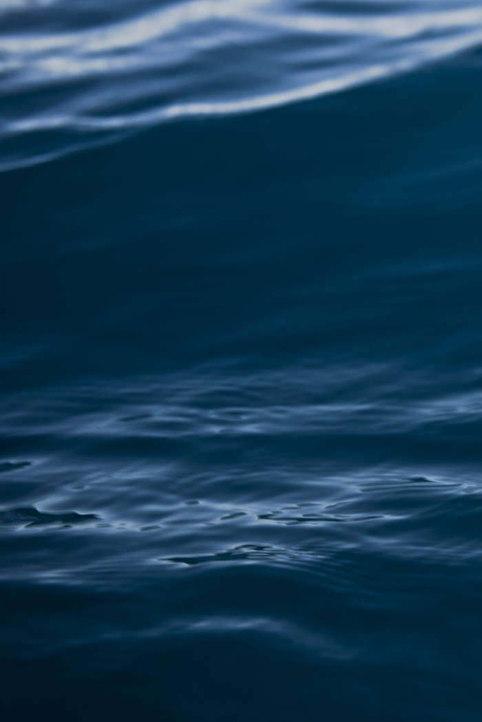 水体