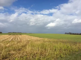 土地、田地、农业、景观、自然、天空、云、田地