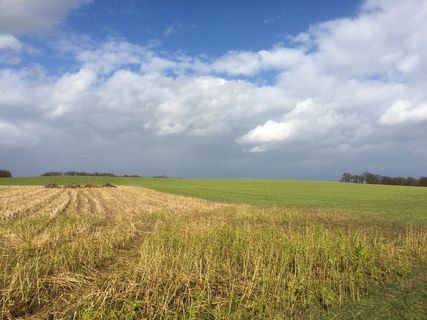 土地、田地、农业、景观、自然、天空、云、田地 土地、田地、农业、景观、自然、天空、云、田地